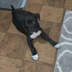 Meet your Posher, Maranda